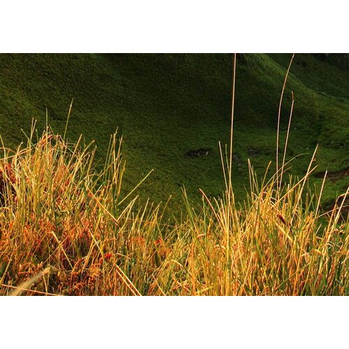 Schilderij Groene Vallei