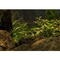 Schilderij Prachtig uitzicht