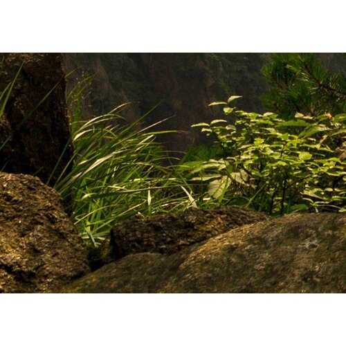 Schilderij Prachtig uitzicht