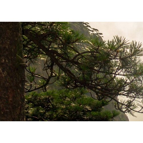 Schilderij Prachtig uitzicht