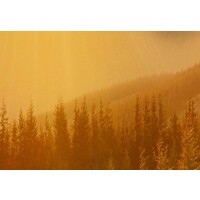 Schilderij Groet van de zon