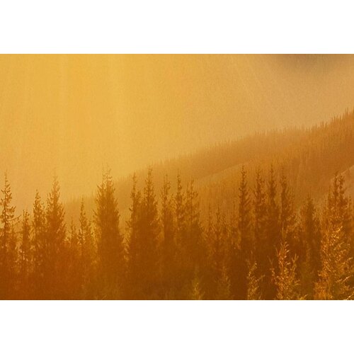 Schilderij Groet van de zon