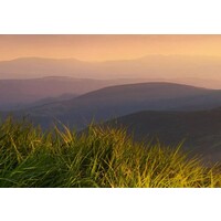 Schilderij Land of Calm