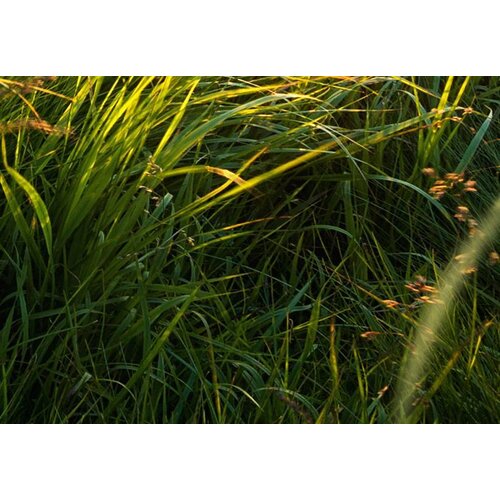 Schilderij Land of Calm