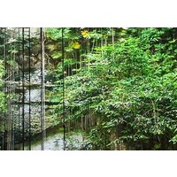 Schilderij Waterval van bomen