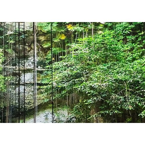 Schilderij Waterval van bomen