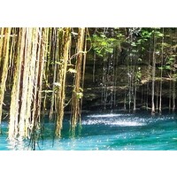 Schilderij Waterval van bomen