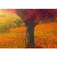 Schilderij Land van liefde