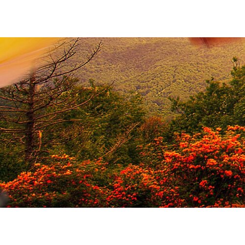 Schilderij Land van liefde