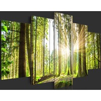 Schilderij Koninklijk Bos