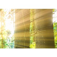 Schilderij Koninklijk Bos