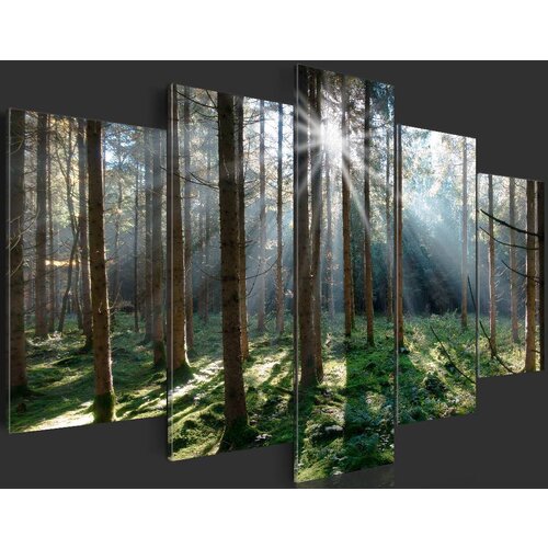 Schilderij Sprookjesbos