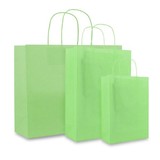  250 x Papieren tas - Groen - 120 grs.