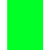  Prijskaartkarton fluor groen 4x6 cm 100 stuks