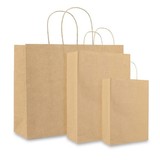  250 x  Papiertragetaschen  DELUXE -Braun