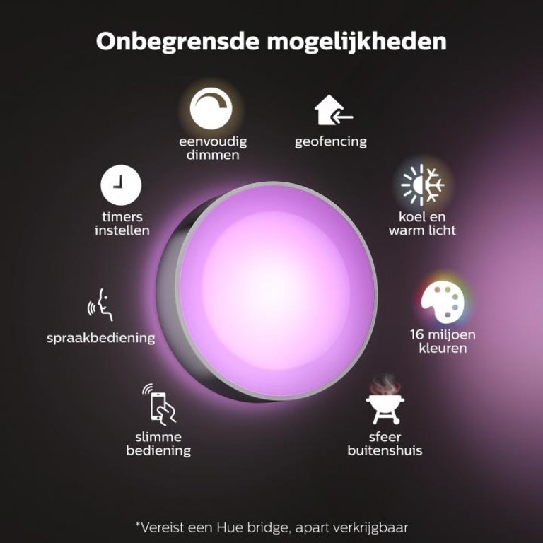 Buitenlamp Philips Hue Daylo Wand Aluminium