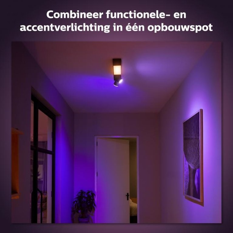 Spot Centris Philips Hue special Zwart 2-lichts