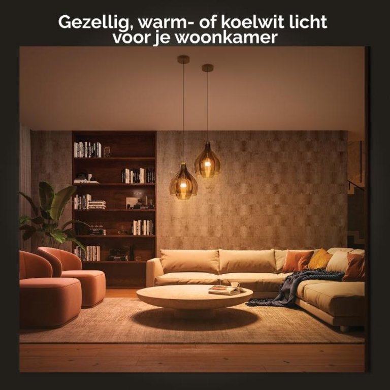 Philips Hue White Ambiance E27