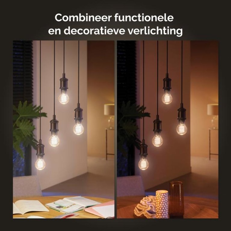 Philips Hue White Ambiance Filament E27 standaardlamp A60