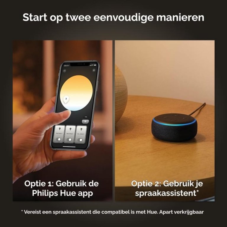 Philips Hue hanglamp Enrave zwart