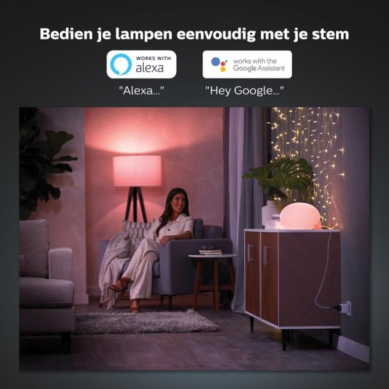 Philips Hue Smart Plug