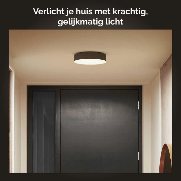 Philips Hue plafondlamp Enrave zwart klein