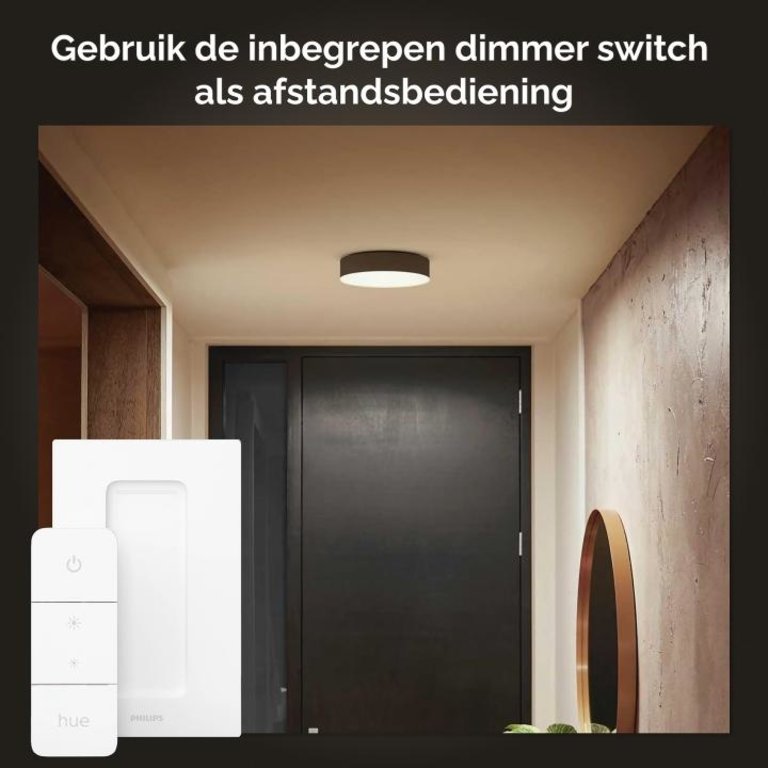 Philips Hue plafondlamp Enrave zwart klein