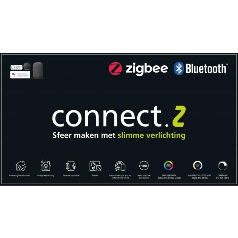 Connect.Z White - E27 Globe G95 - 4,9 Watt - Amber