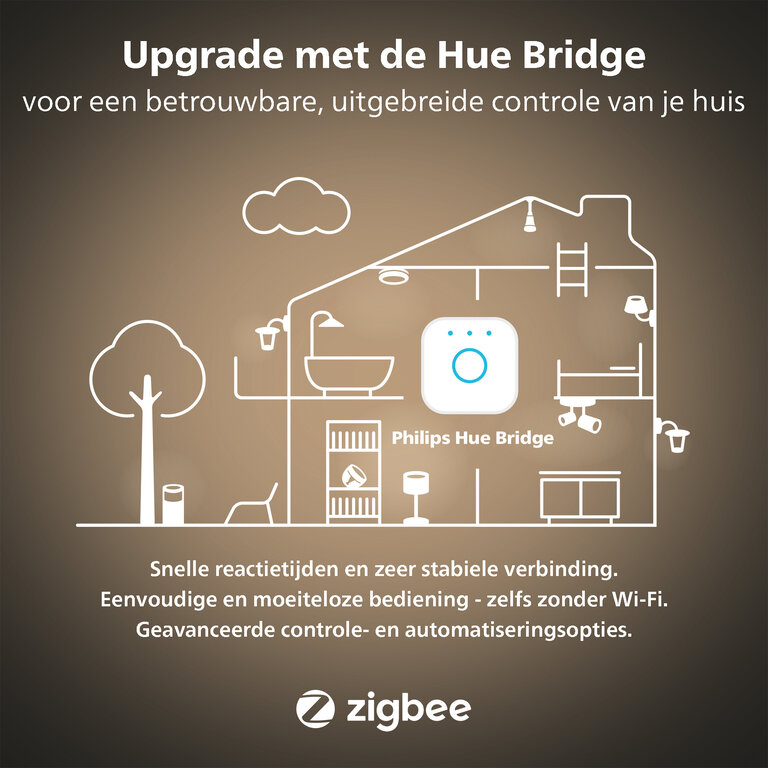 Philips Hue hanglamp Amaze zwart