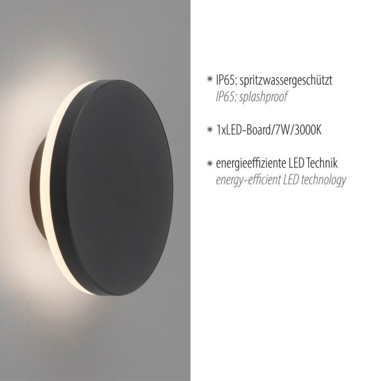 Wandlamp Puntua Antraciet