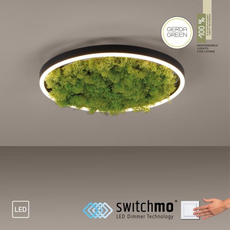 Plafondlamp Green Ritus Klein Mos