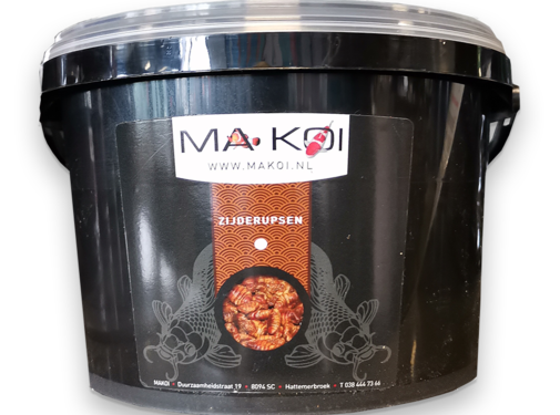 makoi Makoi Seidenraupen