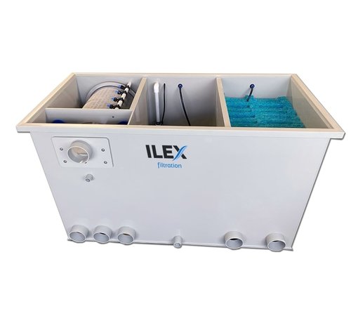 ilex Ilex Biodrum 35