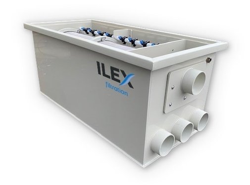 ilex Ilex Drum 40