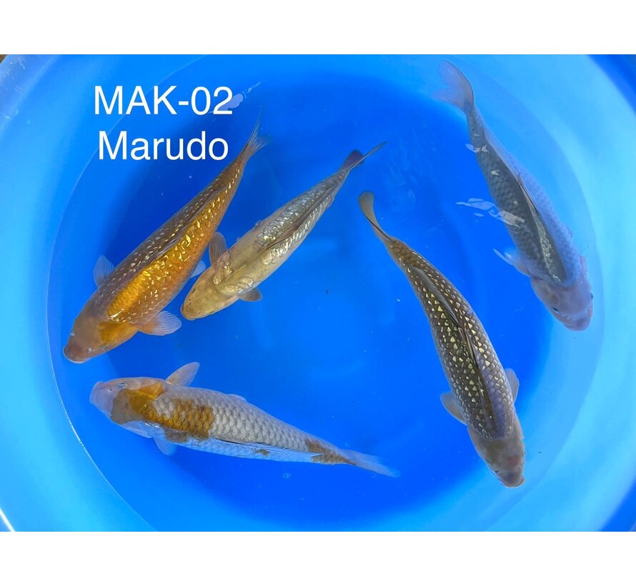 Marudo nissai mix 2