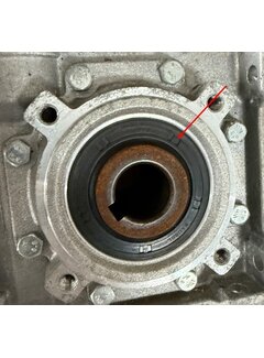 Wellendichtring für Getriebemotor