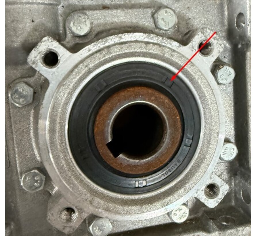 Wellendichtring für Getriebemotor