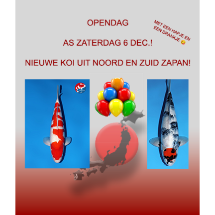 OPENDAG 6 DEC NIEUWEKOI JAPAN 2025
