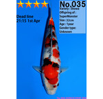 Dainichi Jumbo Tosai april 2026 