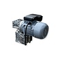 Ilex Motor