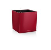 Lechuza Cube Premium 40 Scharlakenrood hoogglans ALL-IN-ONE