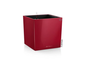 Lechuza Cube Premium 40 Scharlakenrood hoogglans ALL-IN-ONE