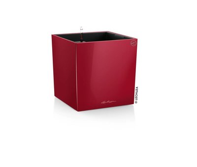 Lechuza Cube Premium 40 Scharlakenrood hoogglans ALL-IN-ONE