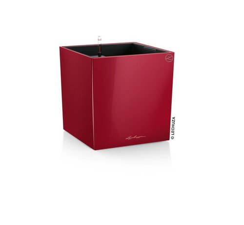 Lechuza Cube Premium 40 Scharlakenrood hoogglans ALL-IN-ONE