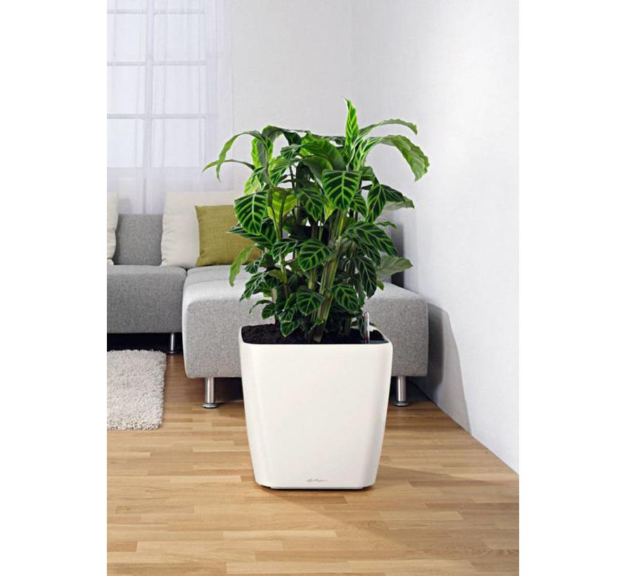 Lechuza - plantenbak QUADRO PREMIUM 35 LS wit hoogglans ALL-IN-ONE set