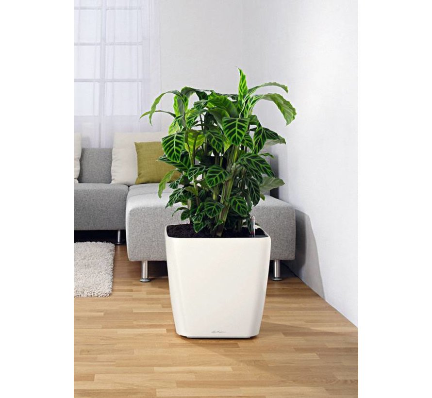 Lechuza - plantenbak QUADRO PREMIUM 50 LS wit hoogglans ALL-IN-ONE set