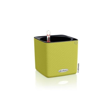 Lechuza Cube Color 14 Limoengroen ALL-IN-ONE