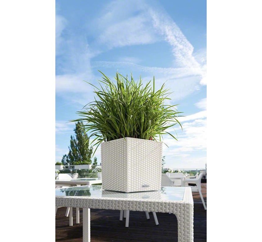 Lechuza - plantenbak CUBE COTTAGE 30 wit ALL-IN-ONE set
