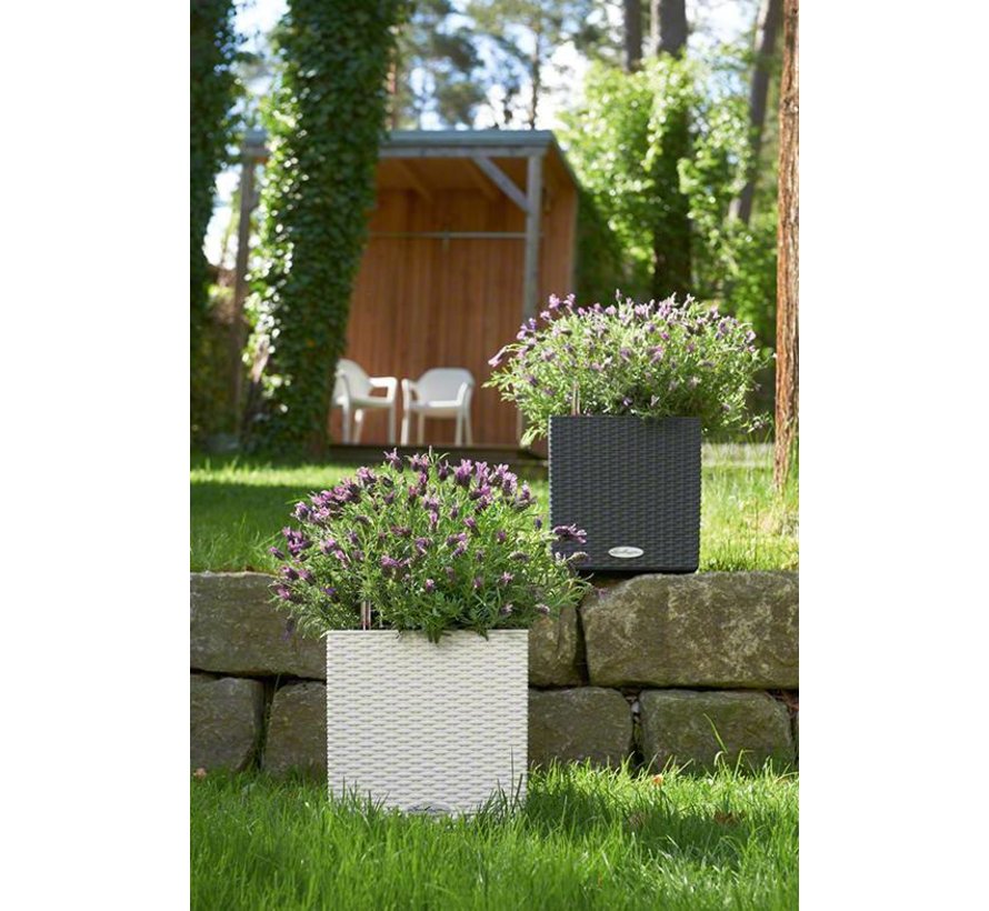 Lechuza - plantenbak CUBE COTTAGE 30 wit ALL-IN-ONE set