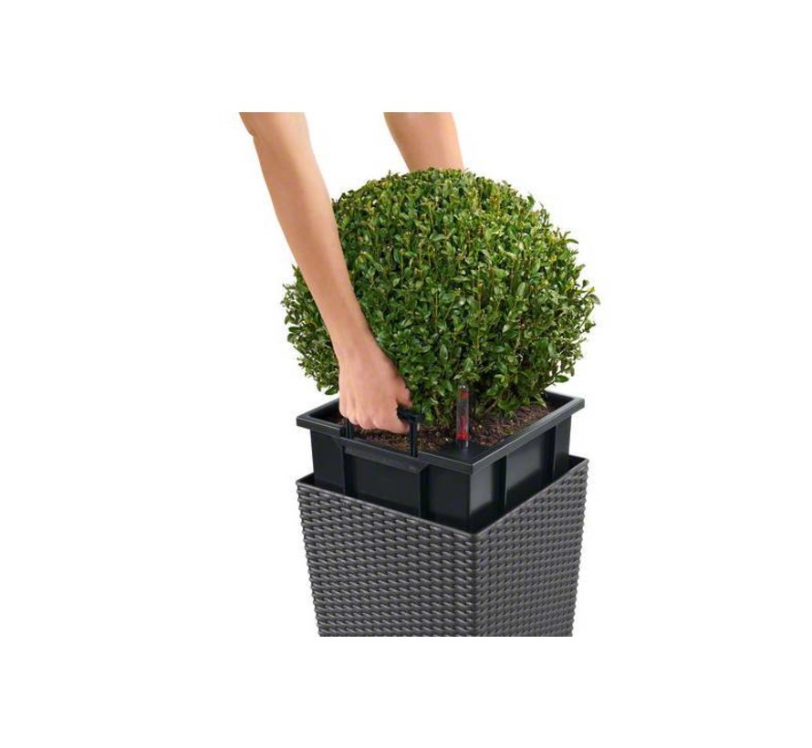 Lechuza - planteur CUBE COTTAGE 30 blanc set ALL-IN-ONE set